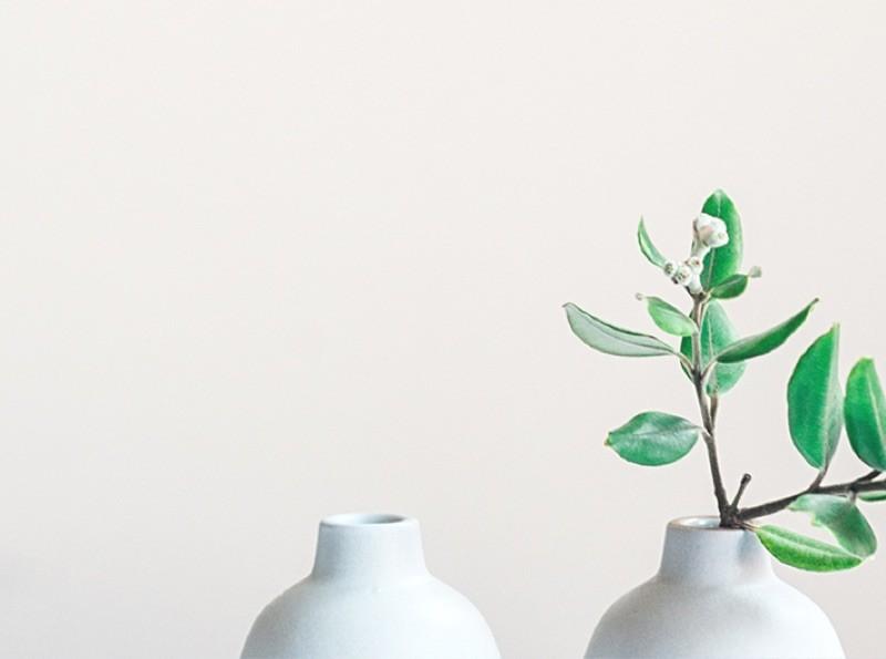 Обратите внимание на нас! Мы что — хуже собак?