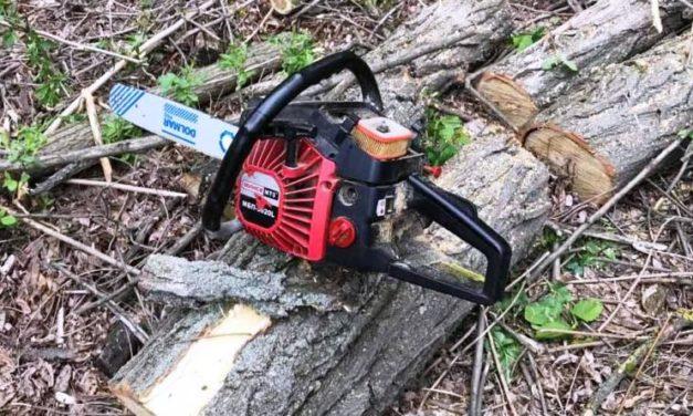 У Юр’ївському районі поліцейські затримали двох лісорубів-браконьєрів