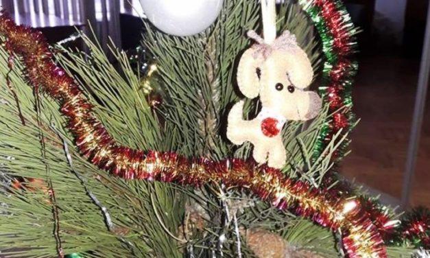 Голодування гірників Павлограда. День четвертий (оновлено)