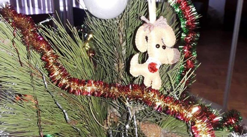 Голодування гірників Павлограда. День четвертий (оновлено)