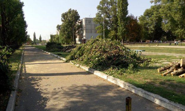 Варварская обрезка деревьев 20 сентября на улице Озерная (Фото)