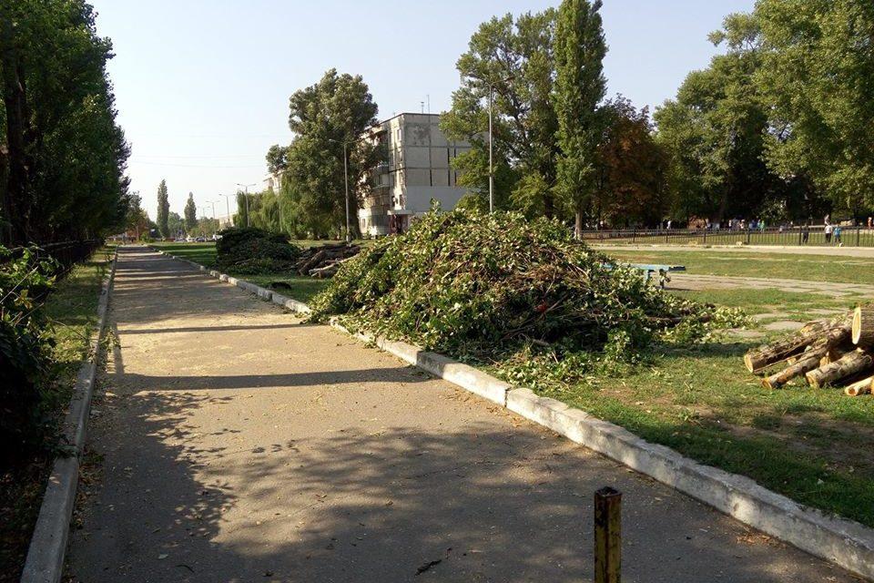 Варварская обрезка деревьев 20 сентября на улице Озерная (Фото)