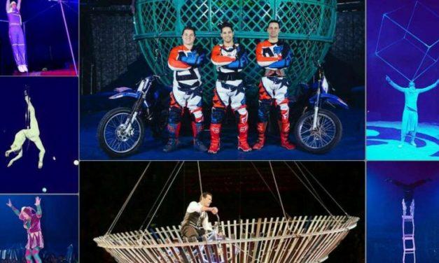 Впервые в Павлограде “Американский Цирк”