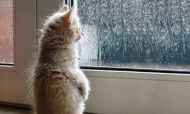 Сухая и солнечная погода еще вернется Украину