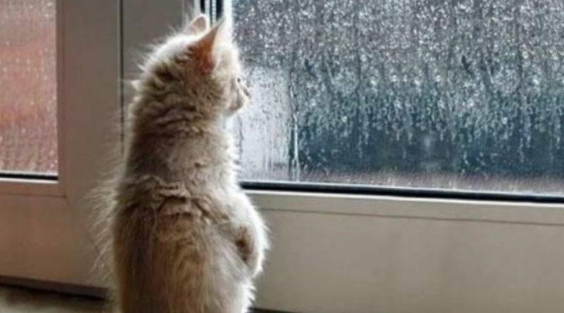 Сухая и солнечная погода еще вернется Украину