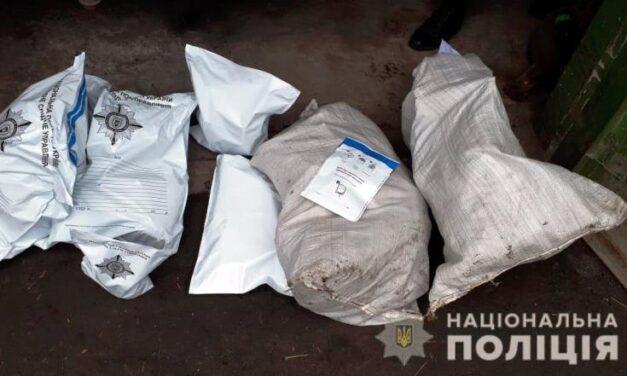 Під час обшуку поліцейські виявили рослини конопель та подрібнену марихуану