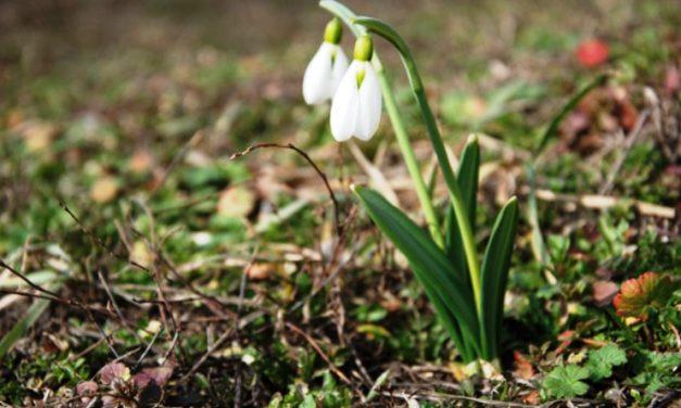 В Павлограде в среду настоящая весенняя погода