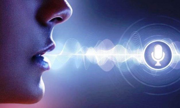 Гулливер собирает голоса