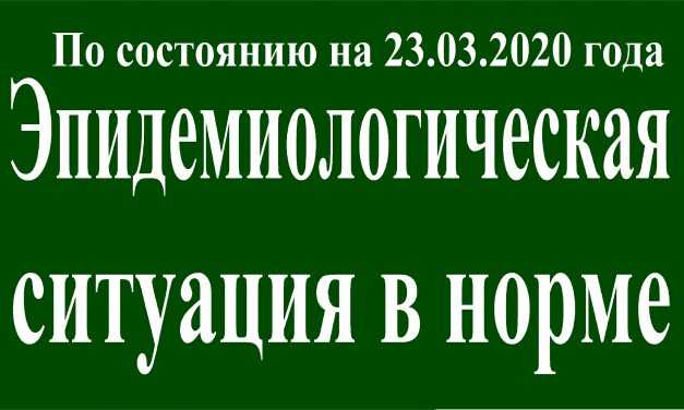 На 23 марта эпидситуация в Павлограде в норме