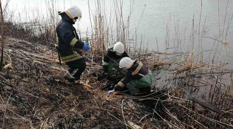 В Павлограде из реки извлекли труп