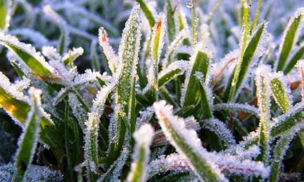 В Павлограде уже до +20. Когда вернутся морозы?