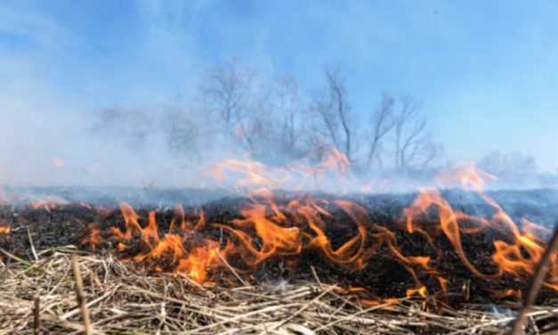 «Не жги – компостируй!». Громады Днепропетровщины приглашают принять участие в экспериментальном проекте