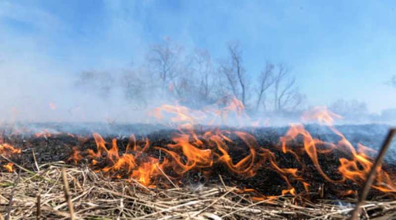 «Не жги – компостируй!». Громады Днепропетровщины приглашают принять участие в экспериментальном проекте
