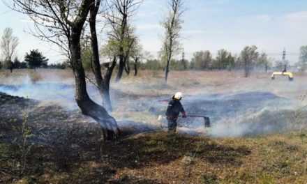 В Павлограде ликвидировано возгорание на площади 1 га