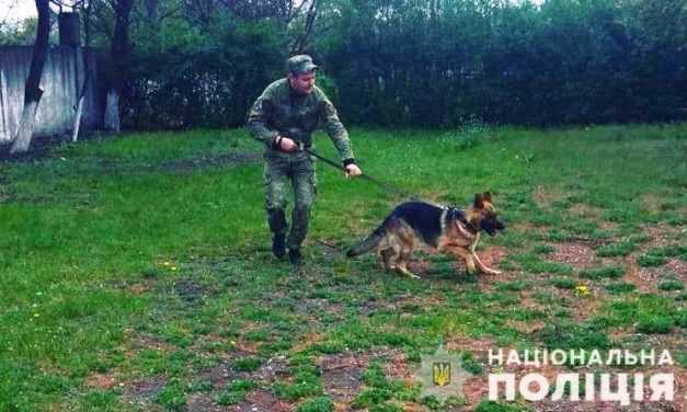 У Павлограді за підозрою у вбивстві затримали місцевого мешканця