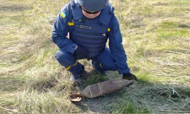 В Павлоградському районі піротехніки знешкодили небезпечну знахідку