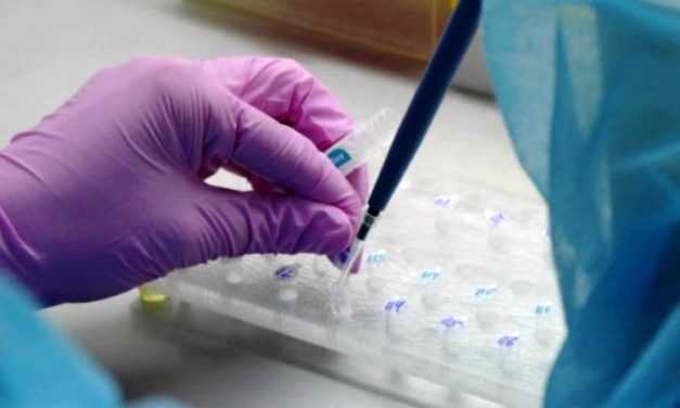 В областной больнице им. Мечникова начали делать ПЦР-тесты на коронавирус