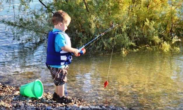 На водоемах Днепропетровщины ограничили вылов рыбы