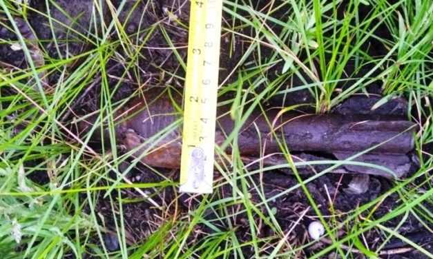 В Павлограді піротехніки знищили застарілу мінометну міну калібру 50 мм