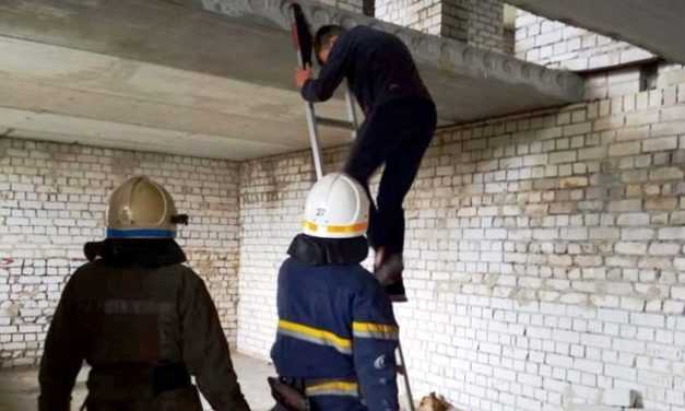 В Павлограде специалисты ГСЧС спасли юного смельчака