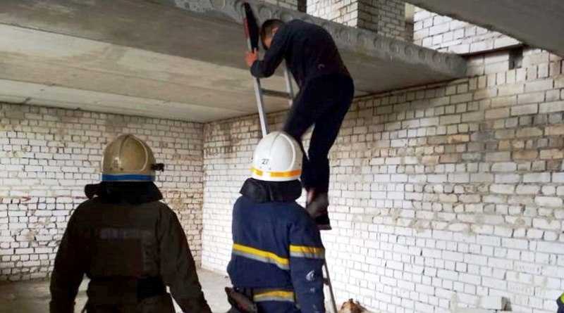 В Павлограде специалисты ГСЧС спасли юного смельчака