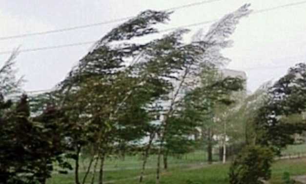 Увага! Попередження про пориви вітру