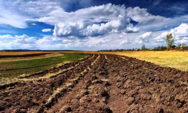 Признать закон о земле неконституционным просят 48 депутатов ВР