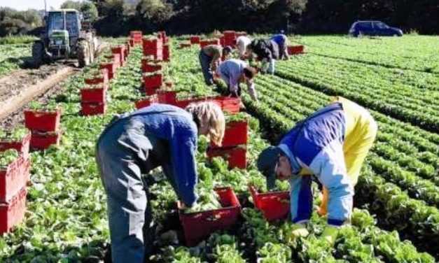 Без украинских работников в Польше будет катастрофа