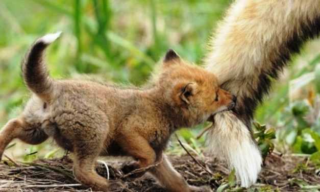 В Дніпропетровській області завершився «сезон тиші»