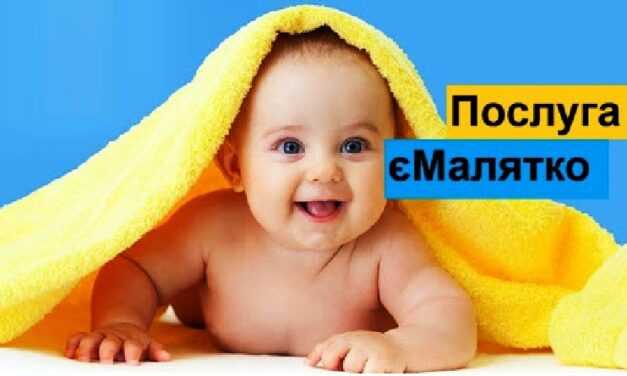 Онлайн-послугу «єМалятко» можна буде отримати у будь-якому ЦНАПі Дніпропетровщини