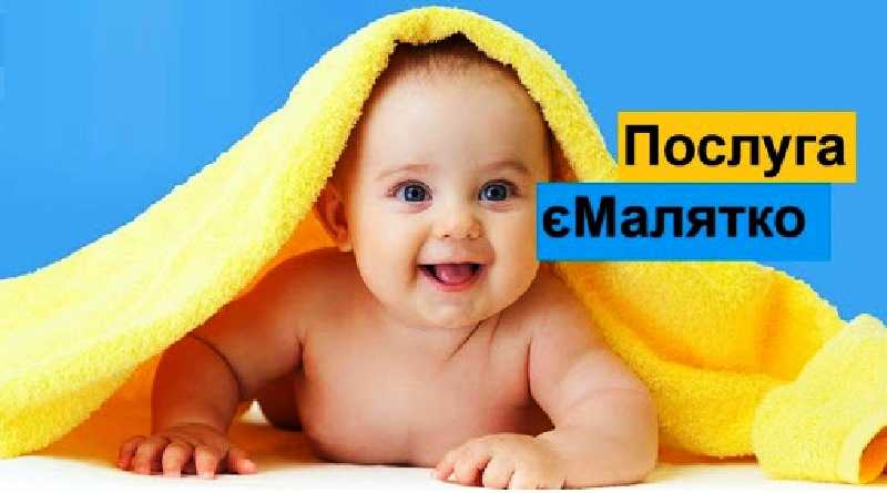 Онлайн-послугу «єМалятко» можна буде отримати у будь-якому ЦНАПі Дніпропетровщини
