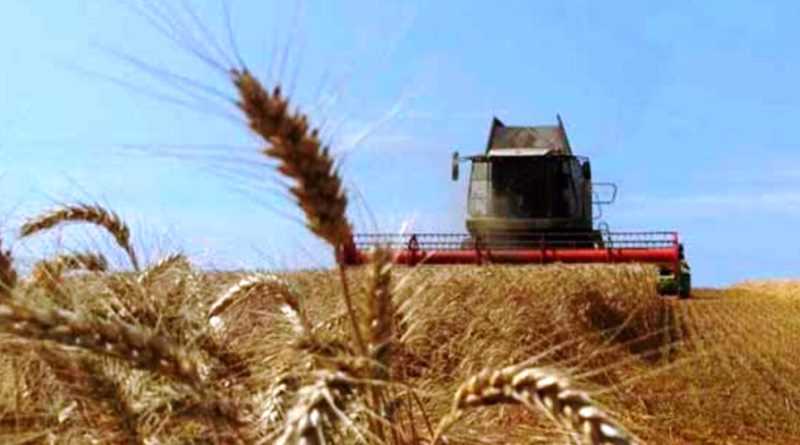 На Днепропетровщине собрали уже более 2,7 млн тонн зерна