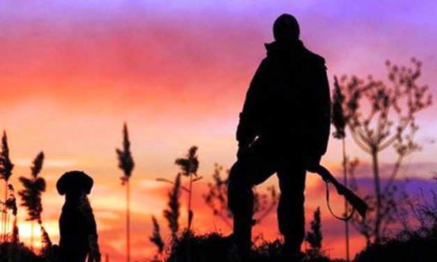 Сезон полювання 2020 на Дніпропетровщині стартує 1 серпня