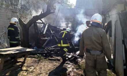 В Павлоградском районе спасатели ликвидировали возгорание хозпостройки
