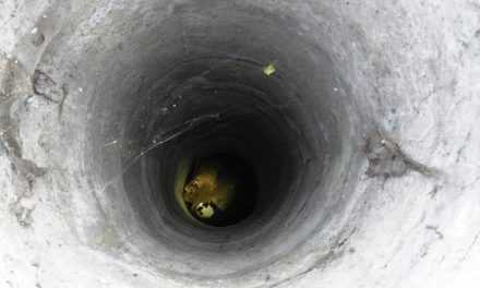 Павлоградские МЧСники спасли щенка из девяти метрового колодца (ВИДЕО)