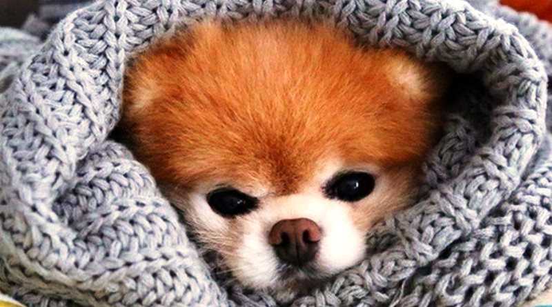 В Павлограде ожидаются холода и ночные заморозки