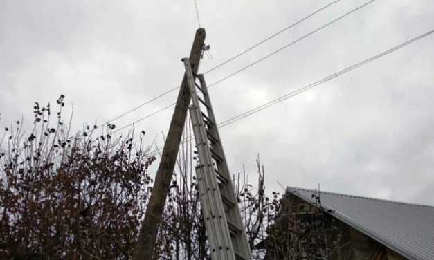 Павлоградские чрезвычайники сняли кошку с электроопоры