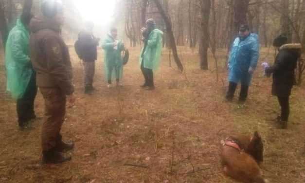 Поиски Ольги Синеокой-Осауленко продолжаются: комментарии кинологов и отца пропавшей