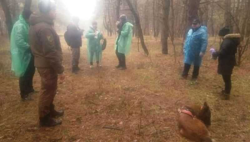 Поиски Ольги Синеокой-Осауленко продолжаются: комментарии кинологов и отца пропавшей