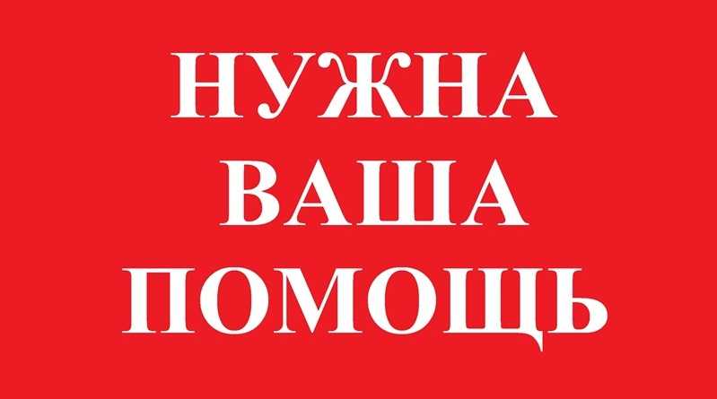 Жителей Павлограда просят помочь детям, родители которых погибли в ДТП под Богуславом