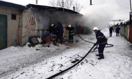 В Павлограде пожарные ликвидировали возгорание в гараже