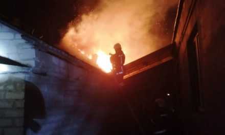 Павлоградские спасатели ликвидировали пожар на территории частного дома (ВИДЕО)