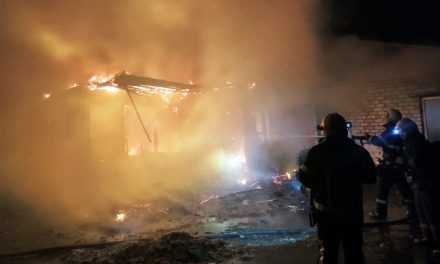 В Павлограде пожарные ликвидировали пожар в частном доме (ВИДЕО)