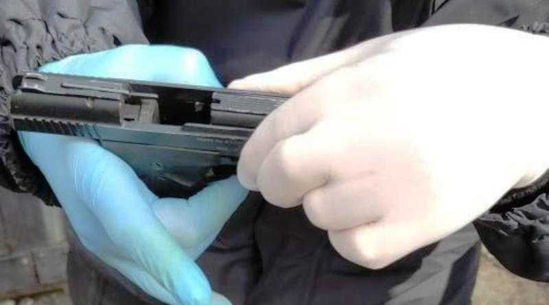 В Терновке полицейские изъяли у 31-летнего местного жителя пистолет