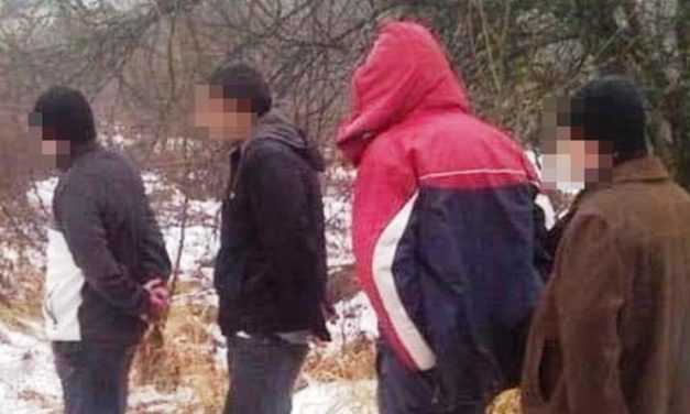 В Павлоградском районе полицейские обнаружили группу нелегалов