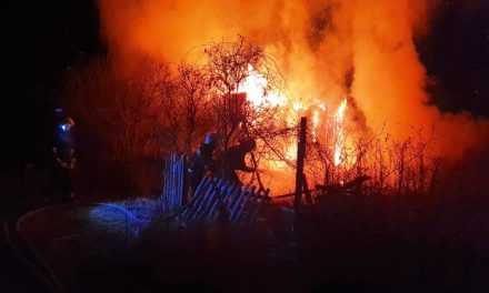 В Павлограде спасатели ликвидировали пожар в заброшенном дачном доме