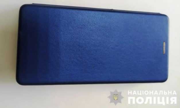 Ради мобилки павлоградец нанёс более 10 ударов по голове местному жителю