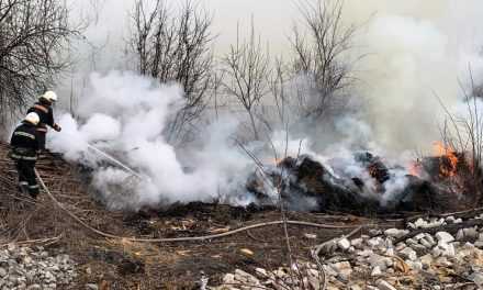 Павлоградские спасатели ликвидировали пожар в экосистеме