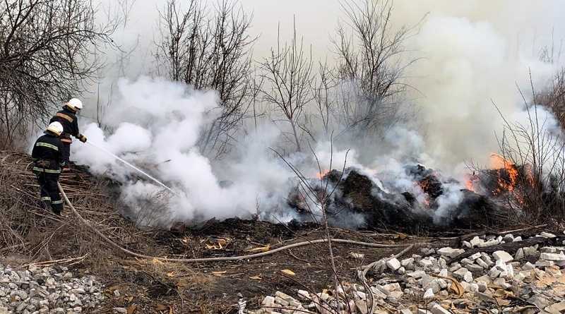Павлоградские спасатели ликвидировали пожар в экосистеме