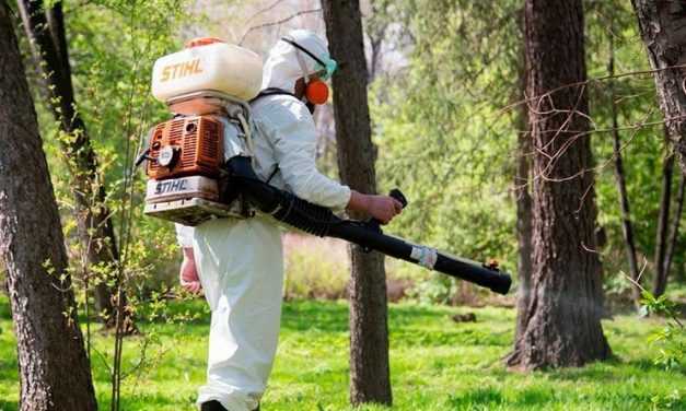 В Павлограде с 5 по 8 апреля будут обрабатывать парки и скверы от клещей